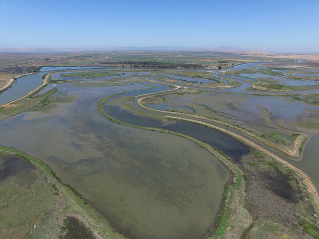 Aerial view of Montezuma wetlands covers more than 3/4 of the lower half of the image with a clear blue sky at the top.